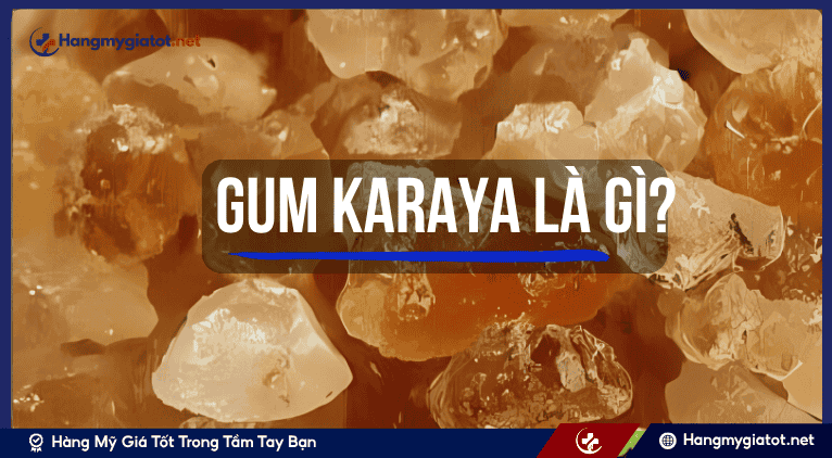 Gum Karaya là gì? 