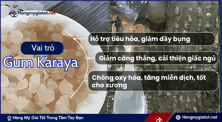 Vai trò của Fennel đối với sức khỏe