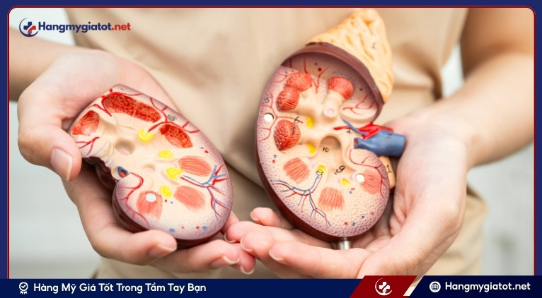 Hệ quả dài hạn từ mệt mỏi đến suy thận mạn tính