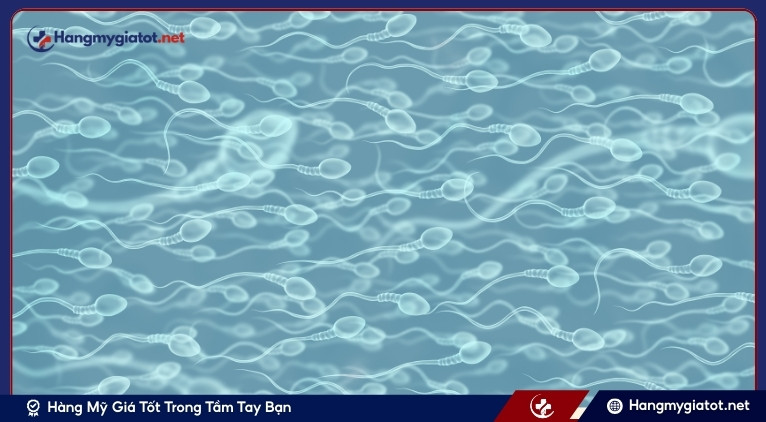 Hiểu kết quả tinh dịch đồ và lập kế hoạch tiếp theo