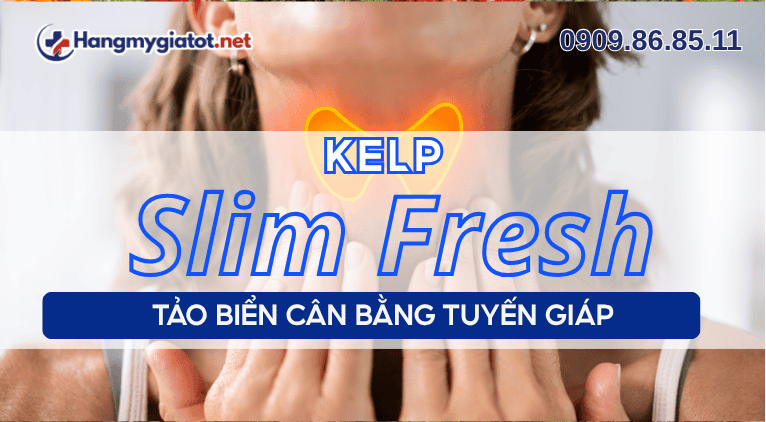 Kelp trong Slim Fresh tảo biển cân bằng tuyến giáp
