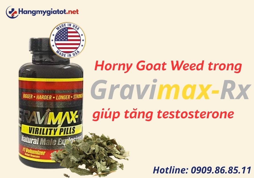 Horny Goat Weed trong Gravimax RX giúp tăng testosterone