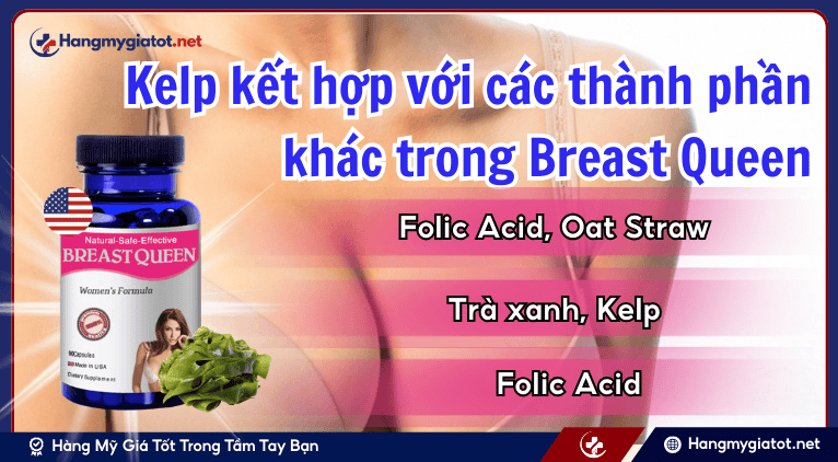 Kelp kết hợp với các thành phần khác trong Breast Queen