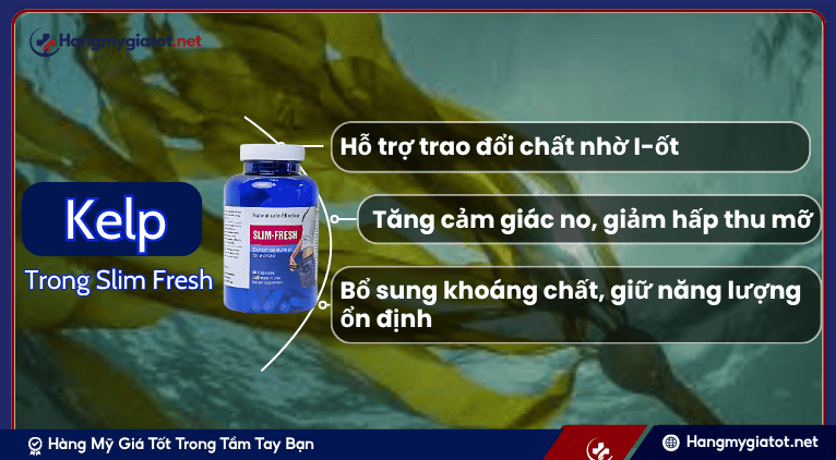Kelp trong sản phẩm Slim Fresh