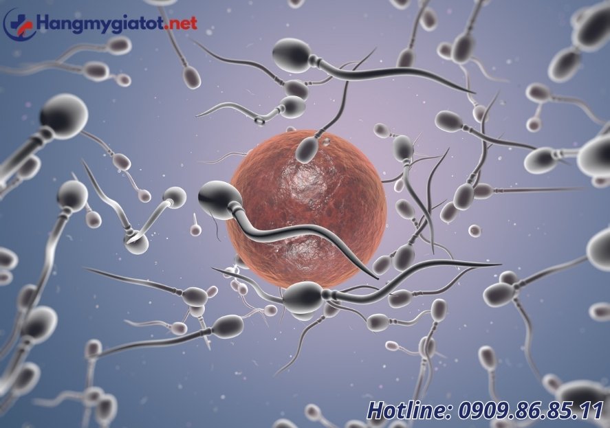 Không có tinh trùng, tinh trùng yếu có chữa được không?