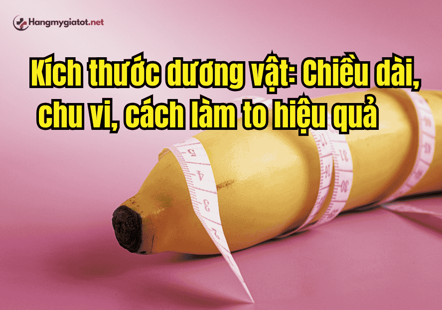 Kích thước dương vật: Chiều dài, chu vi, cách làm to hiệu quả