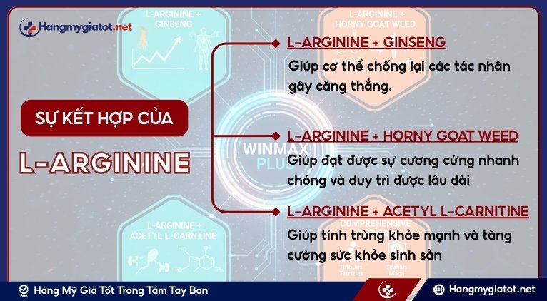 L-Arginine khi kết hợp với các hoạt chất khác sẽ mang lại công dụng gì?