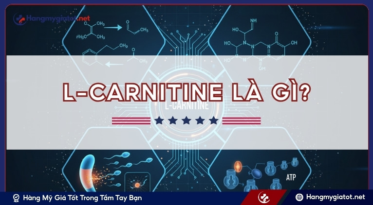 Tìm hiểu chung về L-Carnitine