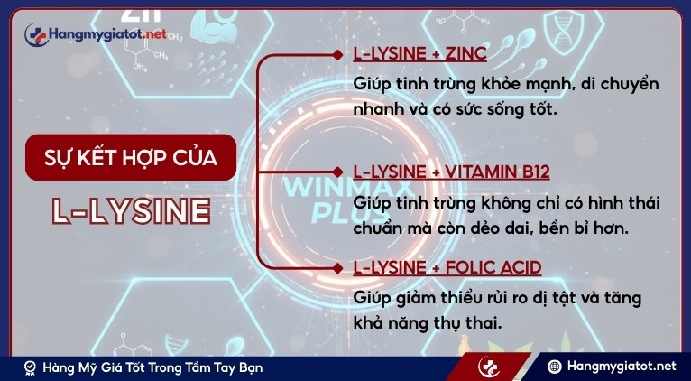 Khi L-Lysine kết hợp với các hoạt chất khác sẽ mang lại lợi ích gì?
