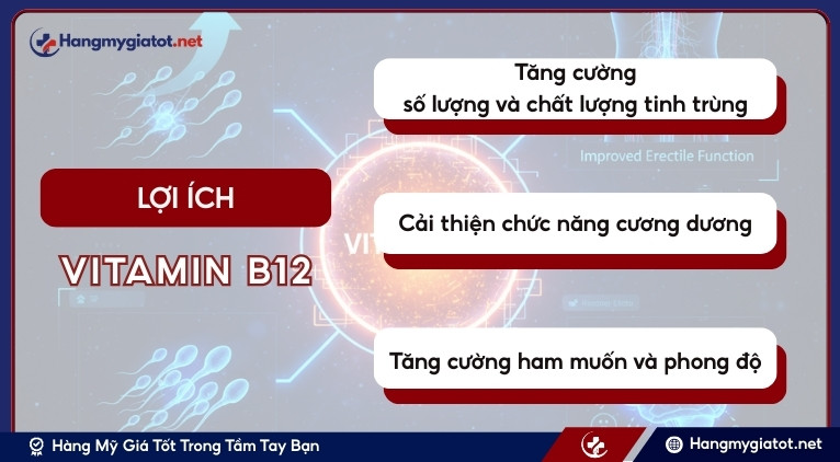 Lợi ích chính của Vitamin B12 với sức khỏe sinh sản nam giới