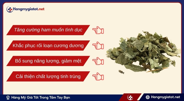 Lợi ích của Epimedium đối với sức khỏe nam giới