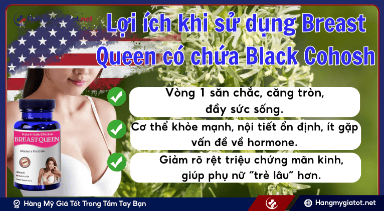 Lợi ích khi sử dụng Breast Queen có chứa Black Cohosh