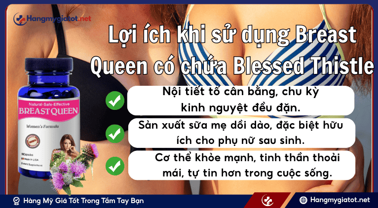 Lợi ích khi sử dụng Breast Queen có chứa Blessed Thistle