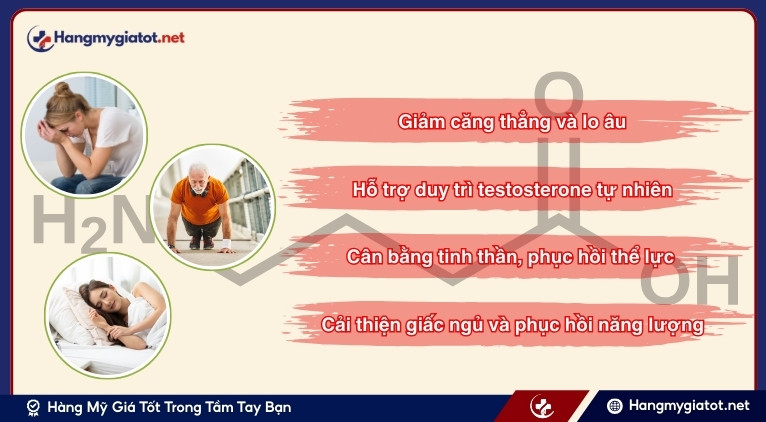 Lợi ích thực tế của GABA đối với nam giới hiện đại