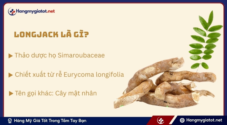 Longjack Extract là gì?