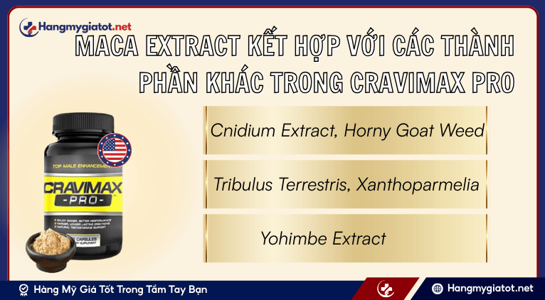 Maca Extract kết hợp với các thành phần khác trong Cravimax Pro