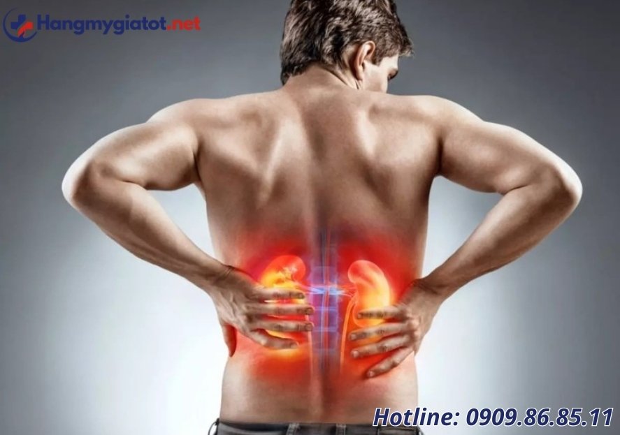 Nam 40+ bị đau lưng, thận yếu, uống gì để cải thiện?