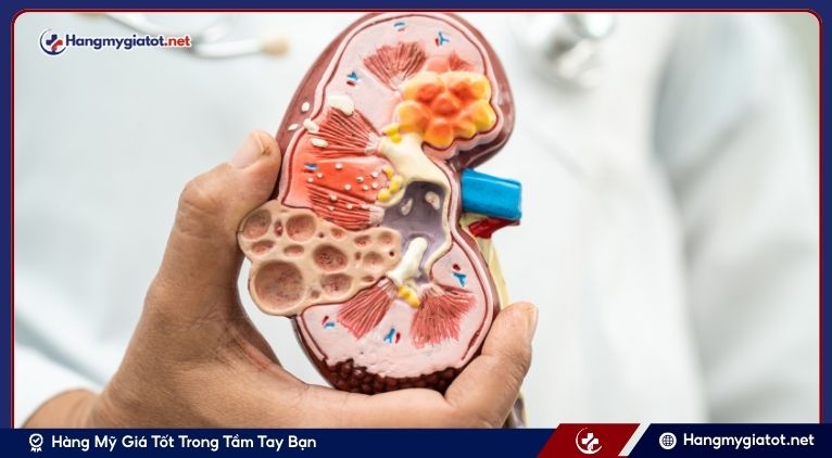 Nguyên Tắc Ăn Uống Vàng Cho Nam Giới Muốn Bổ Thận