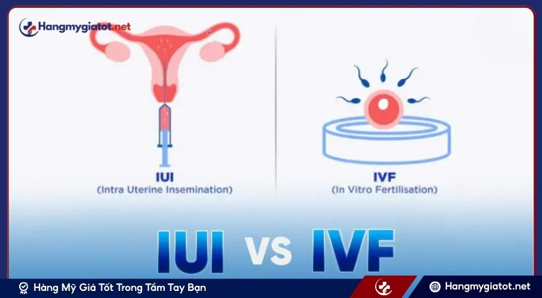 Nên IUI hay IVF khi tinh trùng yếu?
