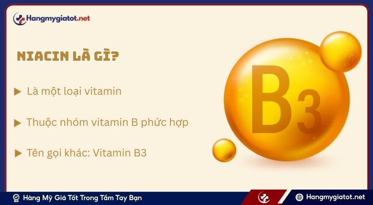 Niacin (Vitamin B3) là gì?