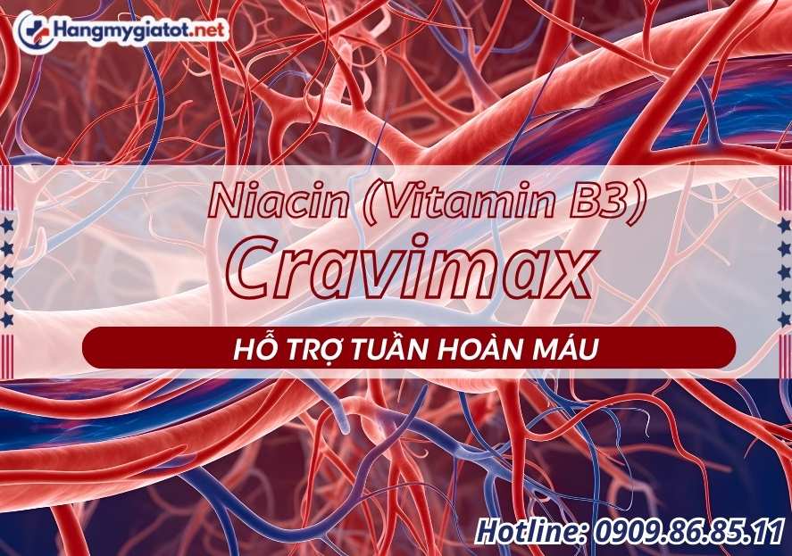 Niacin trong Cravimax vitamin B3 hỗ trợ tuần hoàn máu