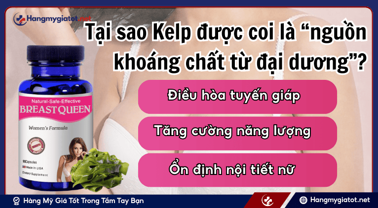 Tại sao Kelp được coi là “nguồn khoáng chất từ đại dương”?