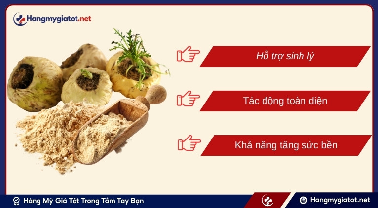 Tại sao Maca được gọi là “nhân sâm Peru”?