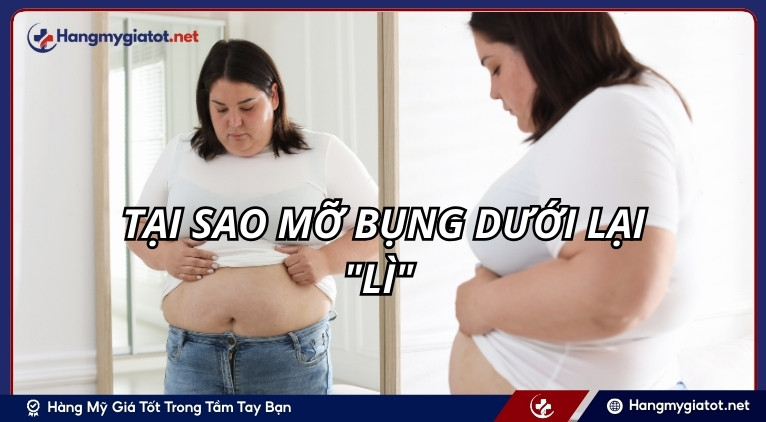 Tại sao mỡ bụng dưới lại "lì" 