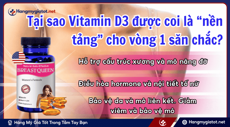 Tại sao Vitamin D3 được coi là “nền tảng” cho vòng 1 săn chắc?