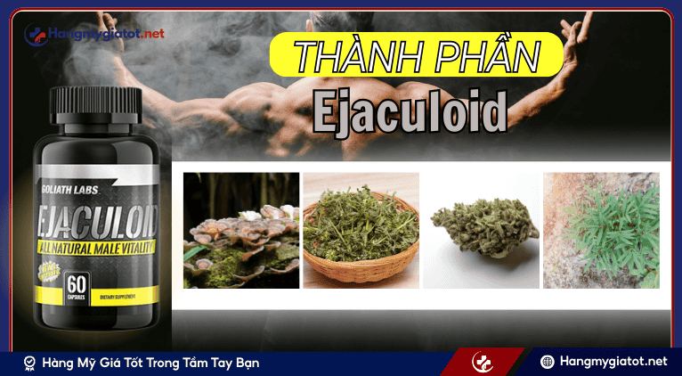 Thành phần nổi bật và công dụng