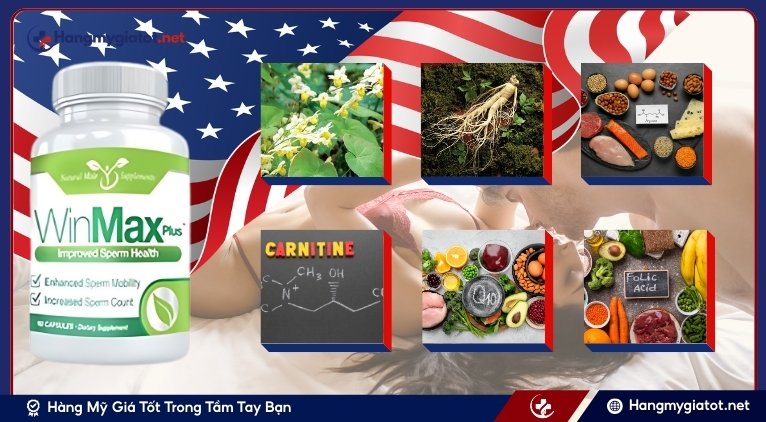 Thành phần chính trong Winmax Plus và cơ chế tác dụng