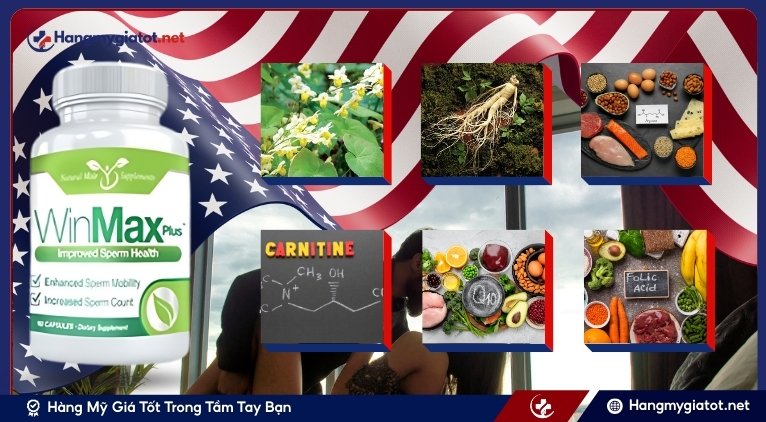 Thành phần của Winmax Plus