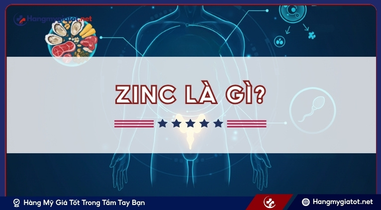 Zinc là gì? Thông tin về Zinc