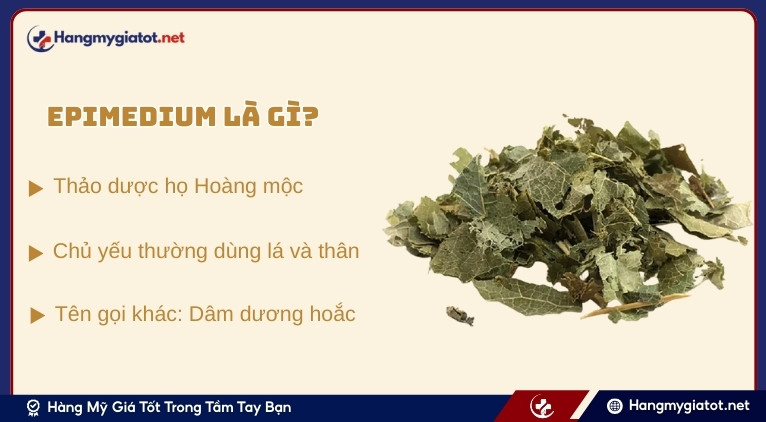 Tổng quan về Epimedium và hoạt chất Icariin