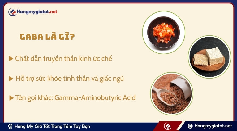 Tổng quan về GABA và vai trò với hệ thần kinh