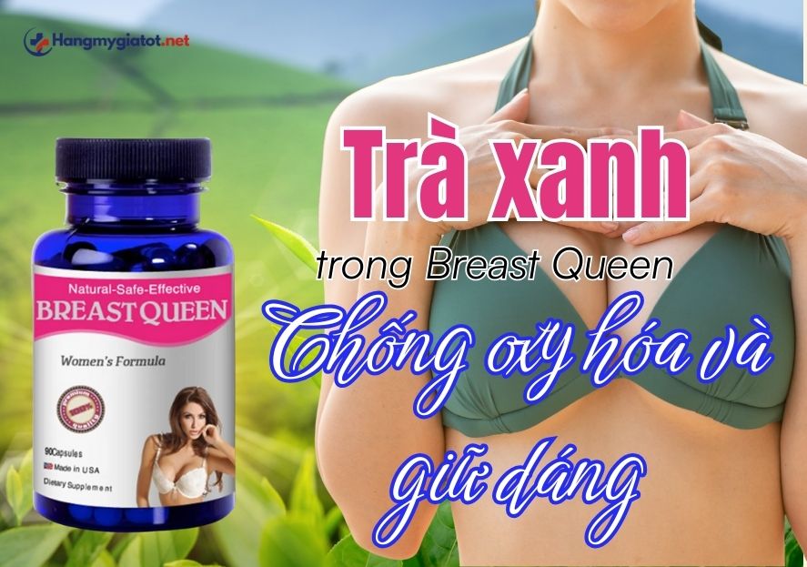 Trà xanh trong Breast Queen Chống oxy hóa và giữ dáng