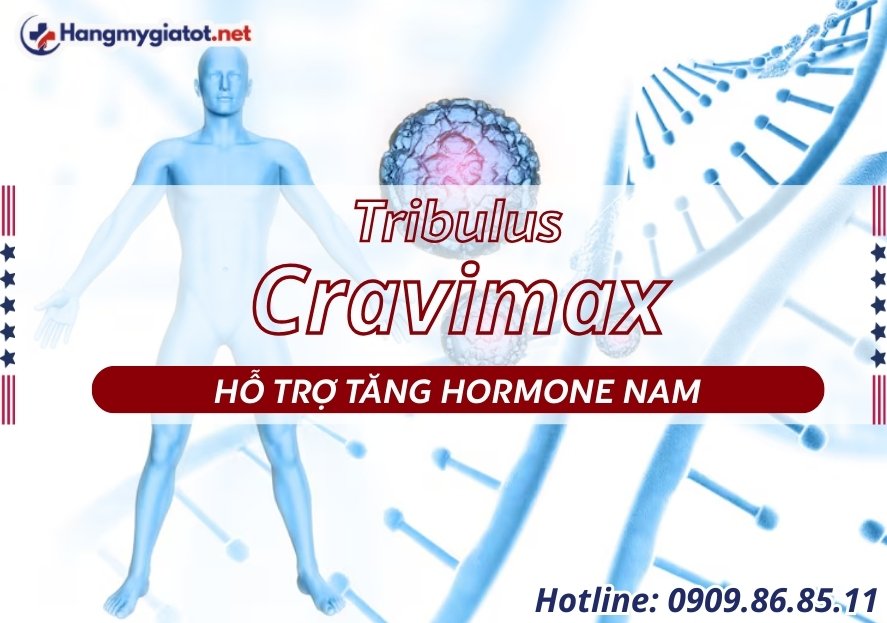 Tribulus trong Cravimax bạch tật lê tăng hormone nam