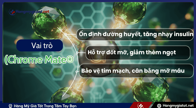 Vai trò của Chromium Elemental (Chrome Mate®) trong sức khỏe chuyển hóa