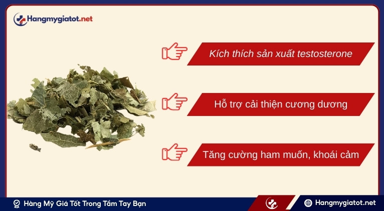 Vai trò của Epimedium trong Cravimax