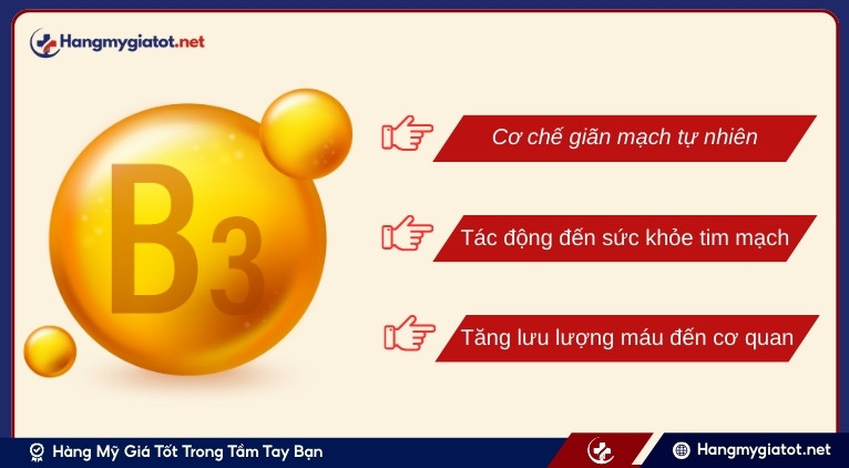 Vai trò của Niacin trong tuần hoàn máu