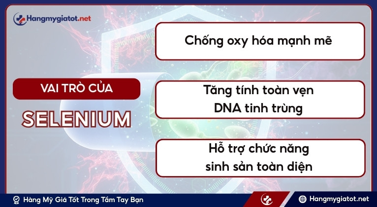 Vai trò của Selenium trong Winmax Plus
