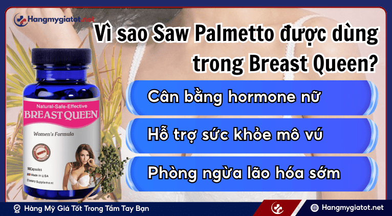 Vì sao Saw Palmetto được dùng trong Breast Queen?