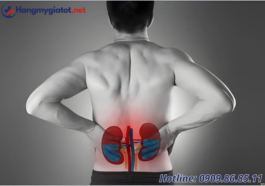 Vì sao nam giới trên 30 tuổi dễ suy thận, yếu sinh lý?