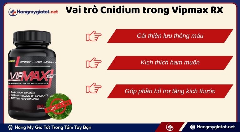 Vai trò của Cnidium trong Vipmax RX đối với sức khỏe sinh lý nam giới