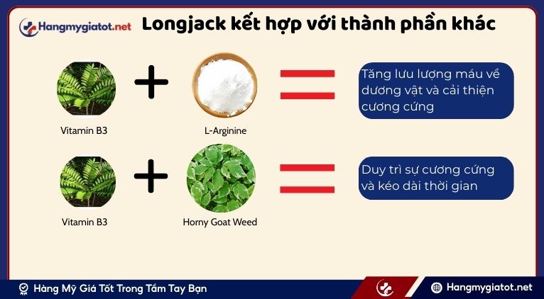 Longjack kết hợp với các thành phần khác trong Vipmax RX