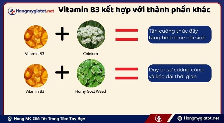 Vitamin B3 kết hợp với các thành phần khác trong Vipmax RX
