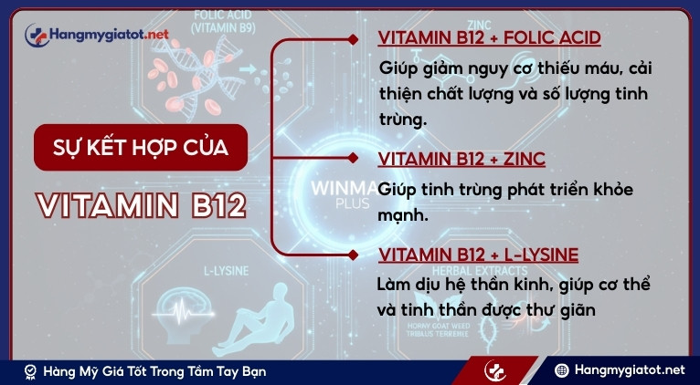 Sự kết hợp độc đáo của Vitamin B12 với các hoạt chất có trong Winmax Plus