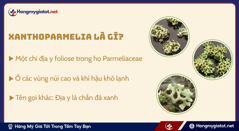 Xanthoparmelia là gì?