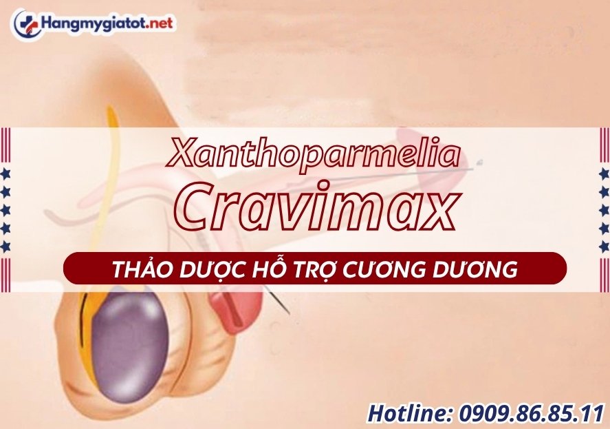 Xanthoparmelia trong Cravimax thảo dược hỗ trợ cương dương