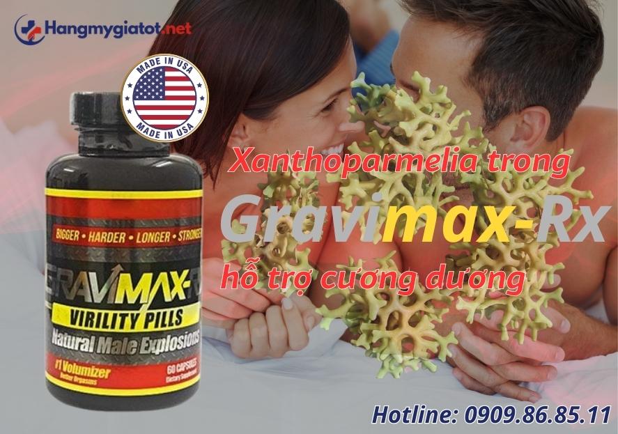 Xanthoparmelia trong Gravimax RX hỗ trợ cương dương tự nhiên